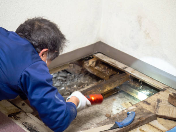 Water Damage Restoration in Jonesboro, IL