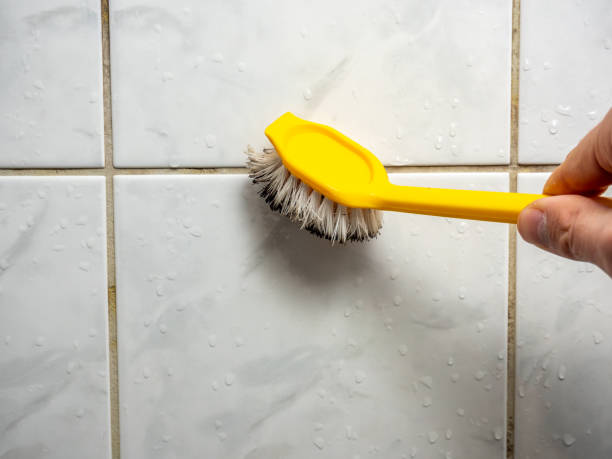 Best Office Mold Removal Services  in Jonesboro, IL